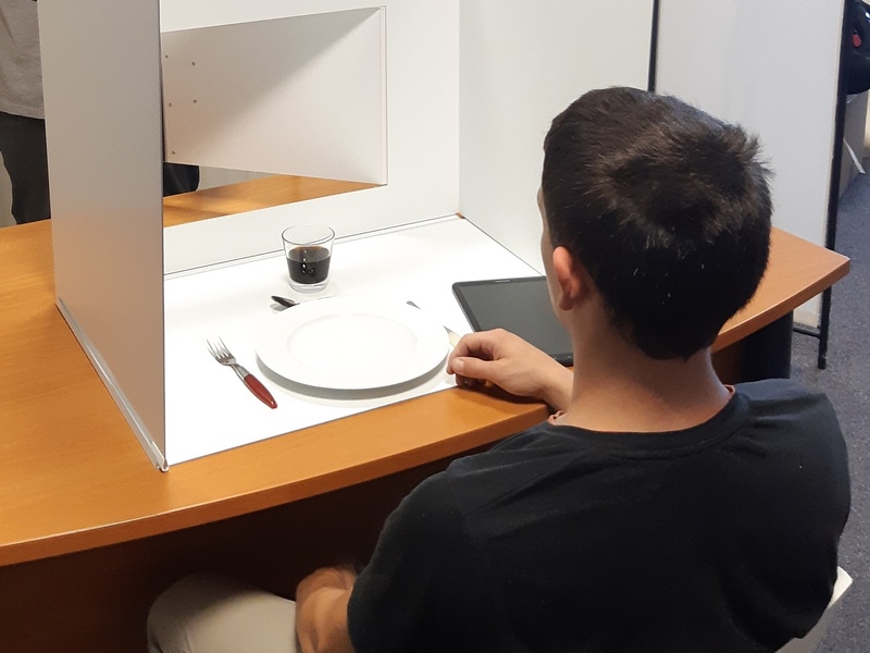 Sensory analysis booths Desktop Lab 